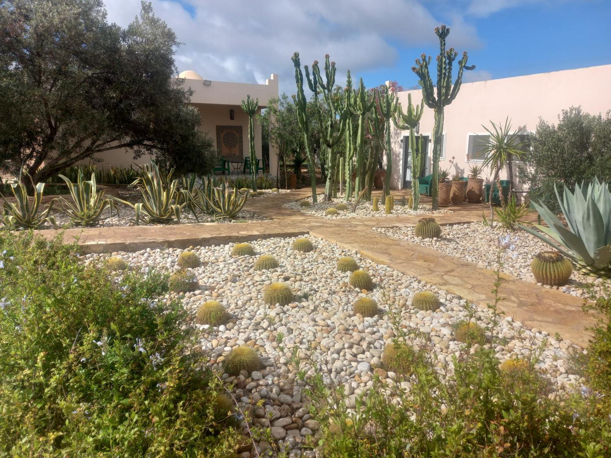 Les Jardins De Mogador Yoga Et Spa Ес-Сувейра Екстер'єр фото
